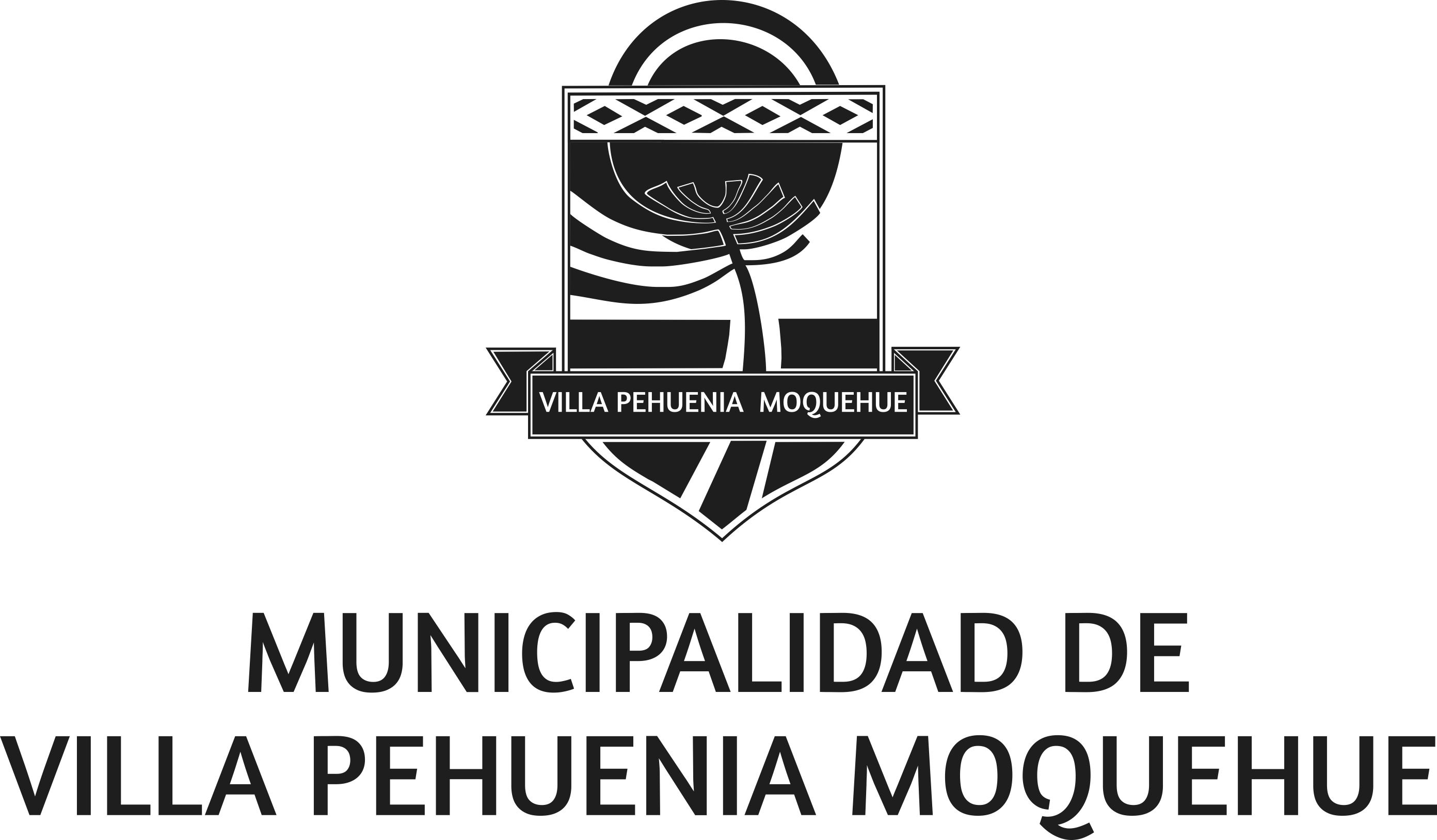 Municipalidad de Villa Pehuenia Moquehue